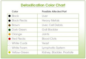 Detoxification Process